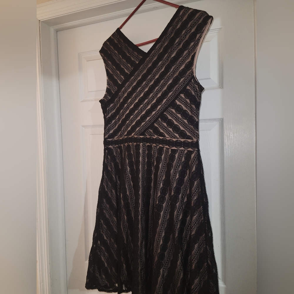 Beautuful Dressbarn Black and Tan Lace Midi Dress